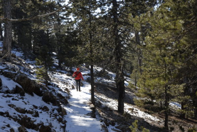 Gipfelumrundung Mount Olympos, Zypern