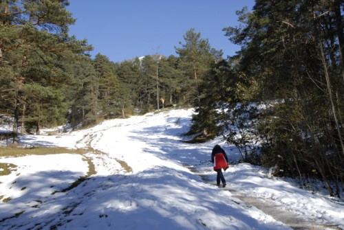 Winterwanderung von Partenkirchen auf die Gamshütte