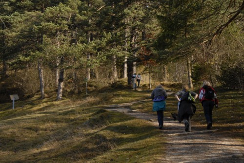 Wanderung von Partenkirchen auf den Wank