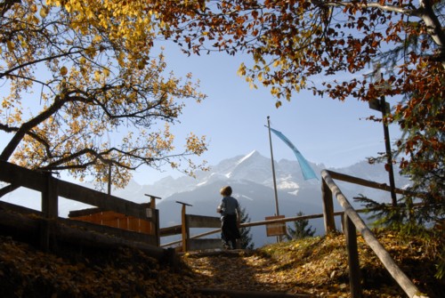 Wanderung von Partenkirchen auf den Wank