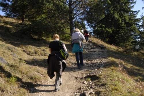 Wanderung von Partenkirchen auf den Wank