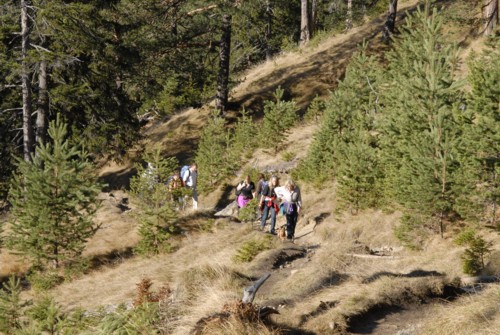 Wanderung von Partenkirchen auf den Wank