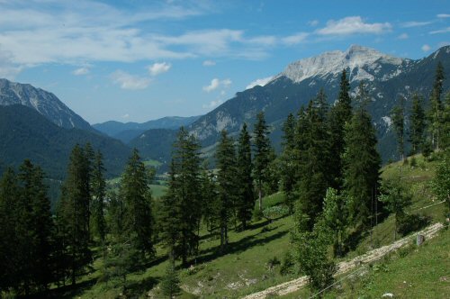 Blick auf Steinberg im Rofan