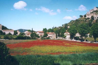 Die Provence im Frühsommer - Getreidefelder mit rotem Mohn und gelbem Raps vor kleinem Dorf nordwestlich des Mt. Ventoux