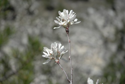 Gardasee | Limone sul Garda | Corna Veccia