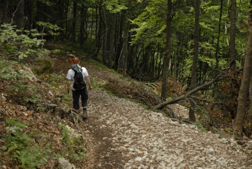 Rundwanderung von Malga Grassi über das Rif. Nino Percini und Bocca Saval