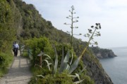 Club Mountains | Cinque Terre