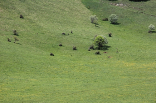 Forca Canapine | Pantani | Monti Sibillini