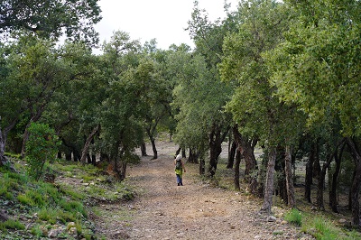 Parco delle Madonie