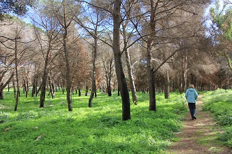 Wanderwege Sizilien im Januar