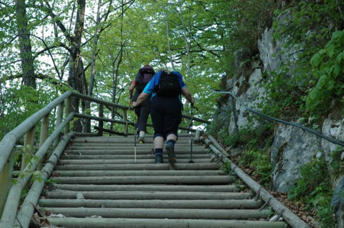 Auf dem Weg ins Kaisertal von Kufstein, Sparchen, aus