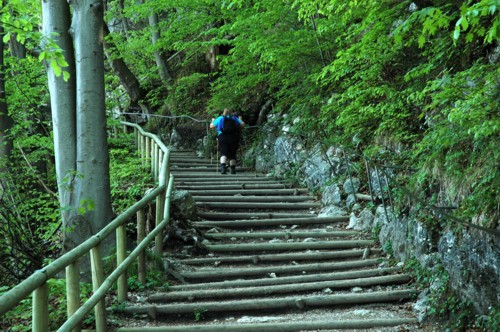 Kaisertalweg von Sparchen zum Stripsenjochhaus