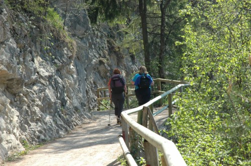 Kaisertalweg von Sparchen zum Stripsenjochhaus