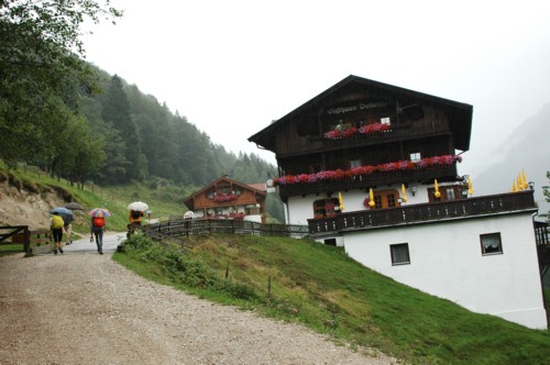 Kaisertalweg von Sparchen zum Stripsenjochhaus | Veitenhof