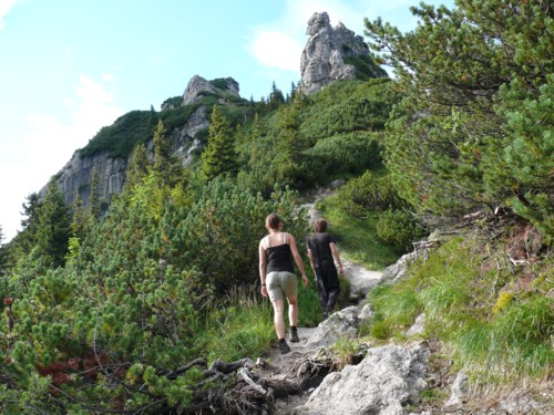 Vom Stripsenjochhaus (1577 m) auf den Stripsenkopf (1807 m)