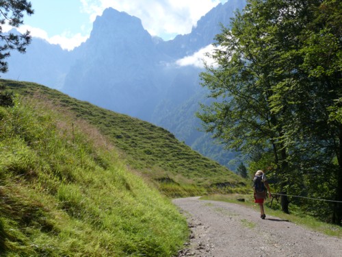 Abstieg von der Vorderkaiserfeldenhütte (1388 m) nach Hinterbärenbad (829 m)