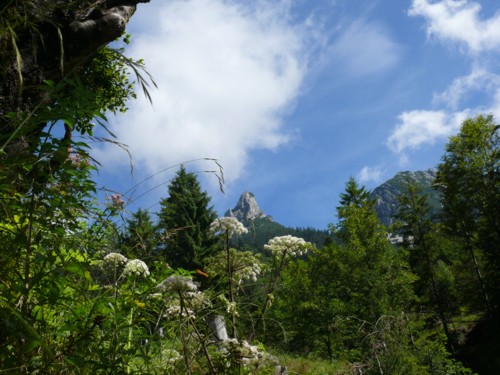 Abstieg von der Vorderkaiserfeldenhütte (1388 m) nach Hinterbärenbad (829 m)