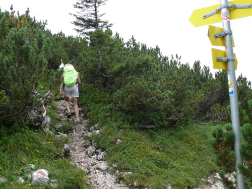 Vorderkaiserfeldenhütte | Naunspitze | Petersköpfel | Pyramidenspitze | Hinterkaiserfeldenalpe