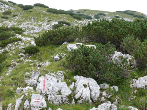 Vorderkaiserfeldenhütte | Naunspitze | Petersköpfel | Pyramidenspitze | Hinterkaiserfeldenalpe