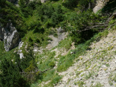 Von der Hinterhornalm über die Bettelwurfhütte zum Hallangerhaus