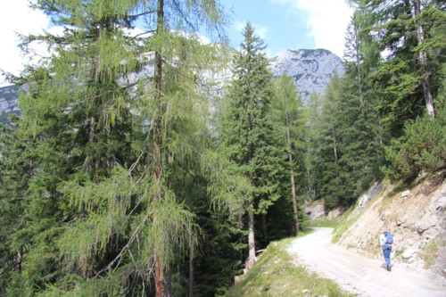 Karwendel | Hochzirl | Magdeburger Hütte