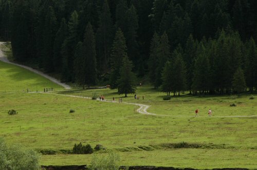 Wanderweg durch das Falzthurntal