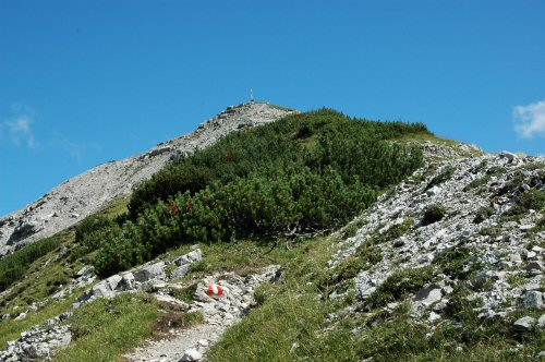 Blick auf den Hahnkampl von Norden aus gesehen