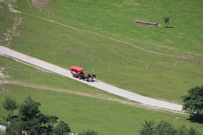 Pferdekutschen in der Eng im Karwendel