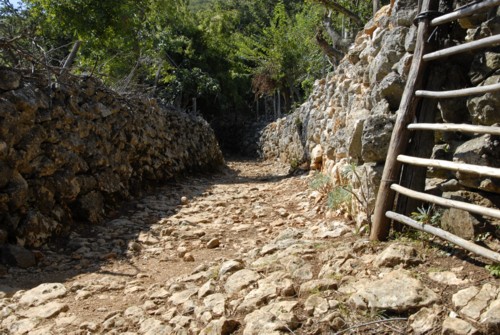 Pepi's trail bei Beli auf der Insel Cres in Kroatien