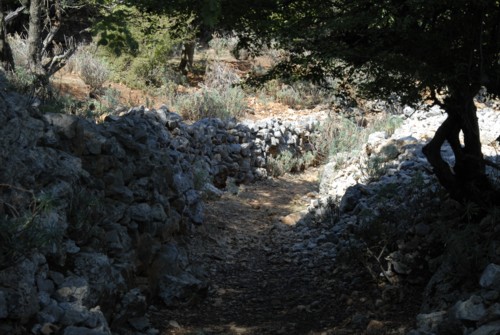 Pepi's trail bei Beli auf der Insel Cres in Kroatien