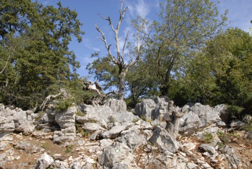 Pepi's trail bei Beli auf der Insel Cres in Kroatien