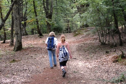 Orchid Trail bei Porozina auf der Insel Cres in Kroatien