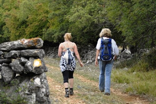 Orchid Trail bei Porozina auf der Insel Cres in Kroatien