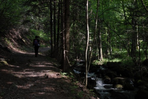 Markgräflerland | Bad Säckingen | Solfelsen