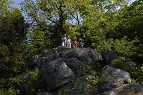 Markgräflerland | Bad Säckingen | Solfelsen