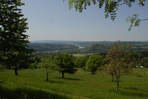 Markgräflerland | Bad Säckingen | Solfelsen