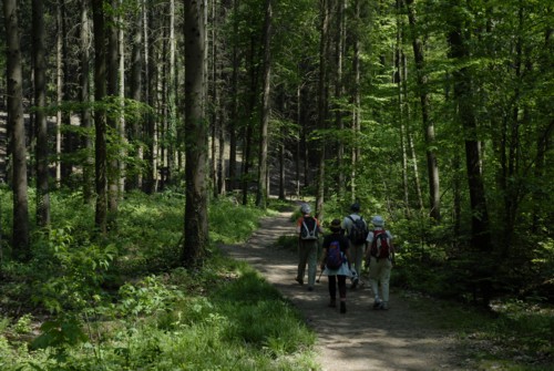 Markgräflerland | Bad Säckingen | Solfelsen