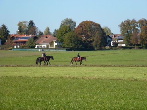 von Dieen zur Schatzbergalm