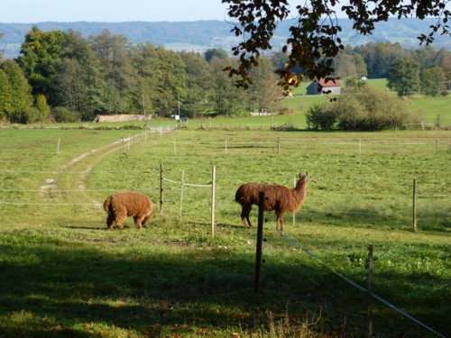 von Dieen zur Schatzbergalm