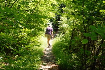 von Herrsching nach Andechs