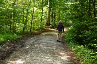 von Herrsching nach Andechs