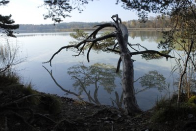 Mnchner Wandergebiete | Osterseen | Rundwanderung