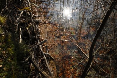 Mnchner Wandergebiete | Osterseen | Rundwanderung