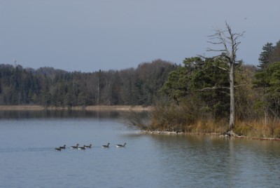 Mnchner Wandergebiete | Osterseen | Rundwanderung