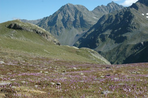 Das Oberinntal, vom Hohenzollernhaus zum Seekarkopf