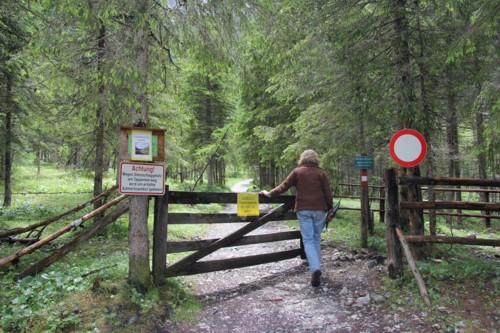 Pongau | Kleinarl | Jägersee | Tappenkarsee