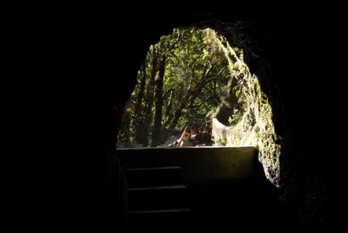 Portugal | Madeira | Tunnellevada (Folhadal) von der Passhöhe Encumeada aus