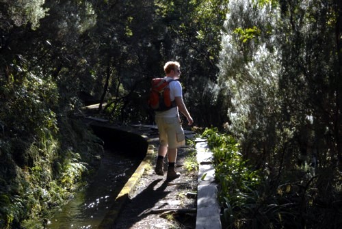 Portugal | Madeira | Tunnellevada (Folhadal) von der Passhöhe Encumeada aus