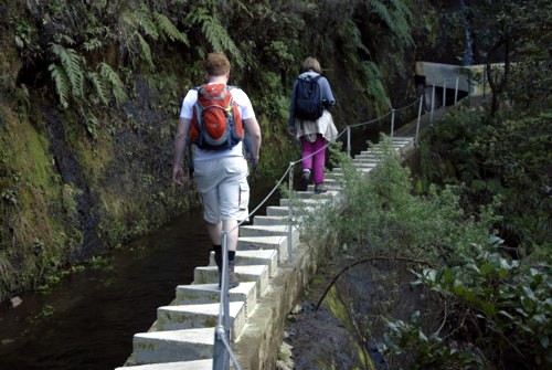 Portugal | Madeira | Tunnellevada (Folhadal) von der Passhöhe Encumeada aus