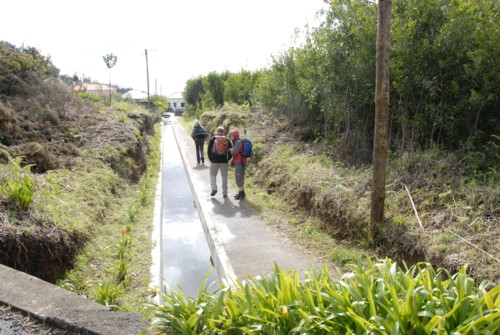 Portugal | Madeira | Prazeres | Levada Nove | Calheta